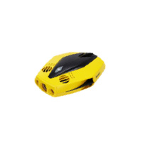 Chasing Dory Chasing Dory